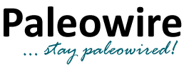 Paleowire